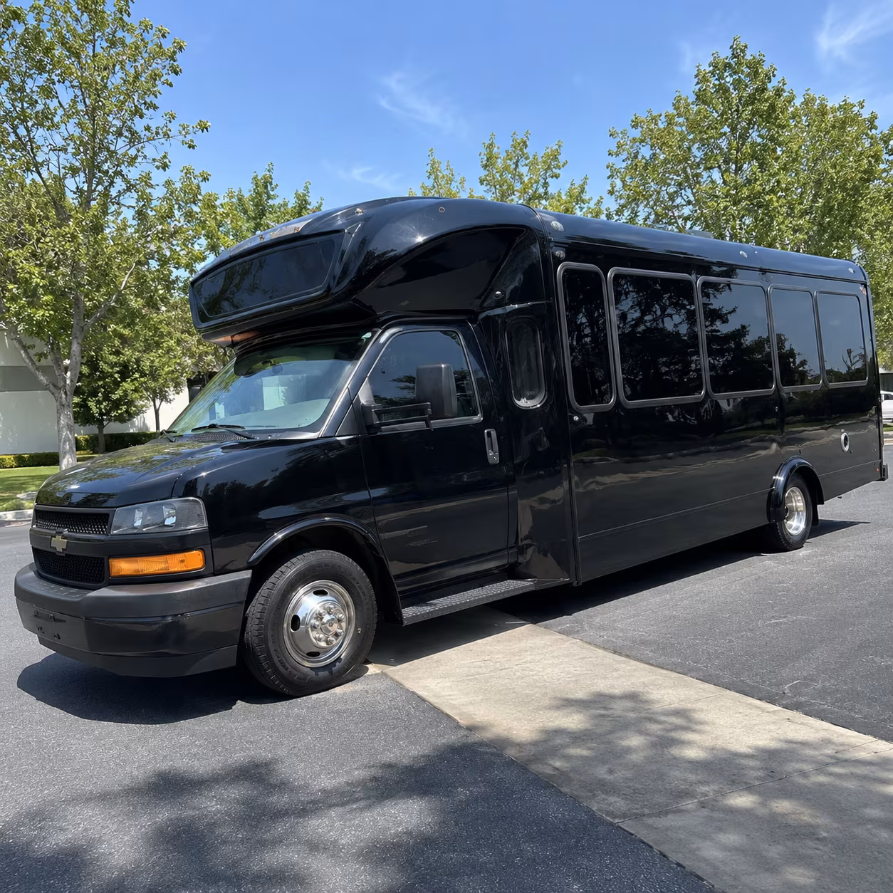 mount pleasant 15 passenger party bus