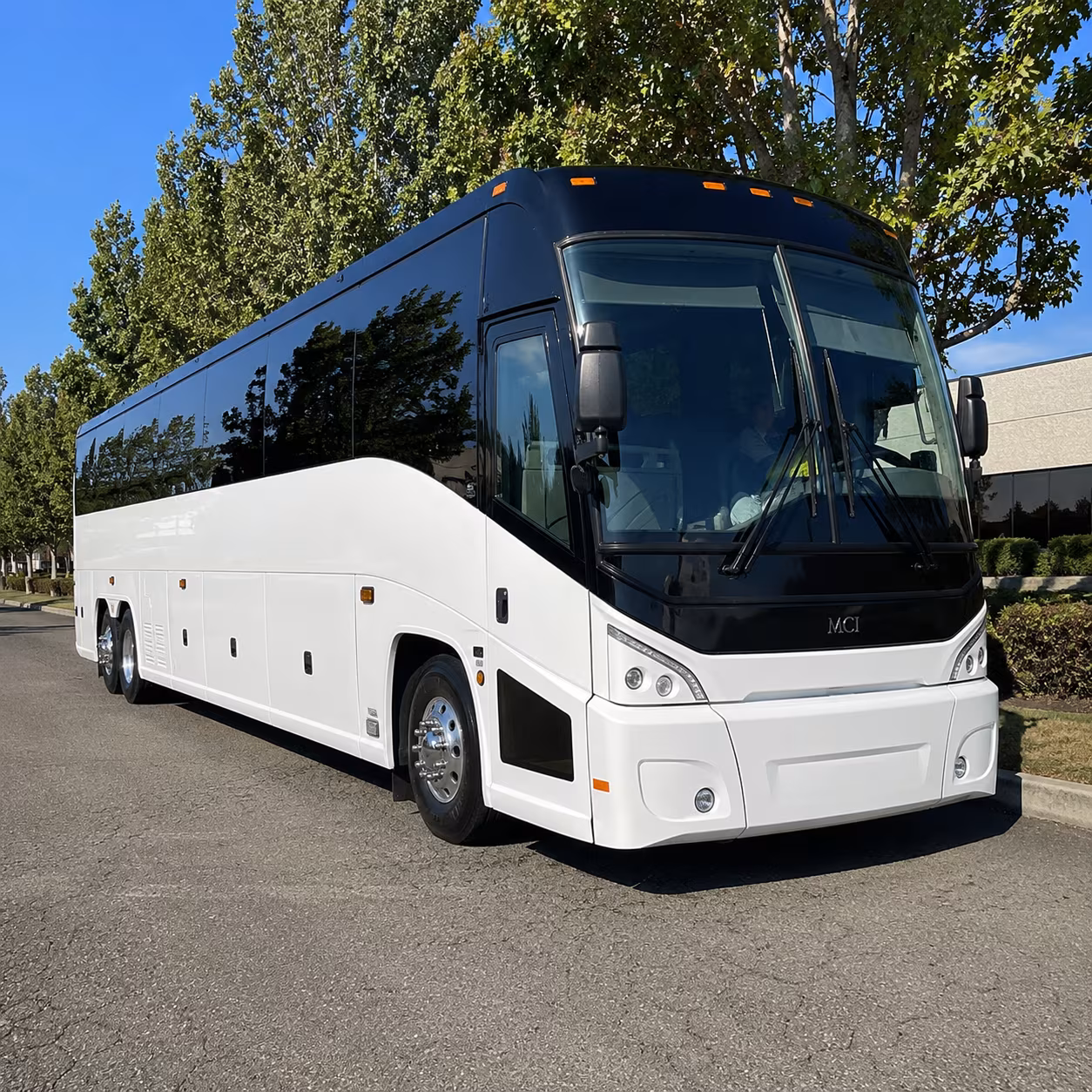 mount pleasant 50 passenger charter bus