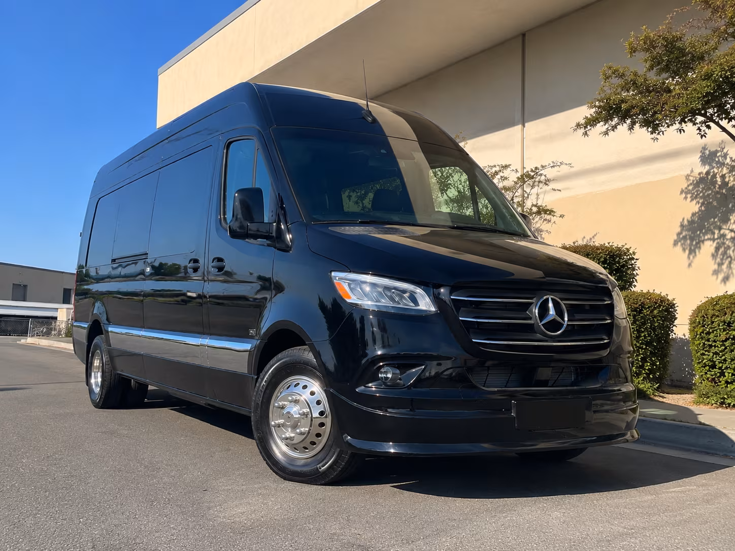 sprinter vans and minibuses for smaller mount pleasant birthday groups